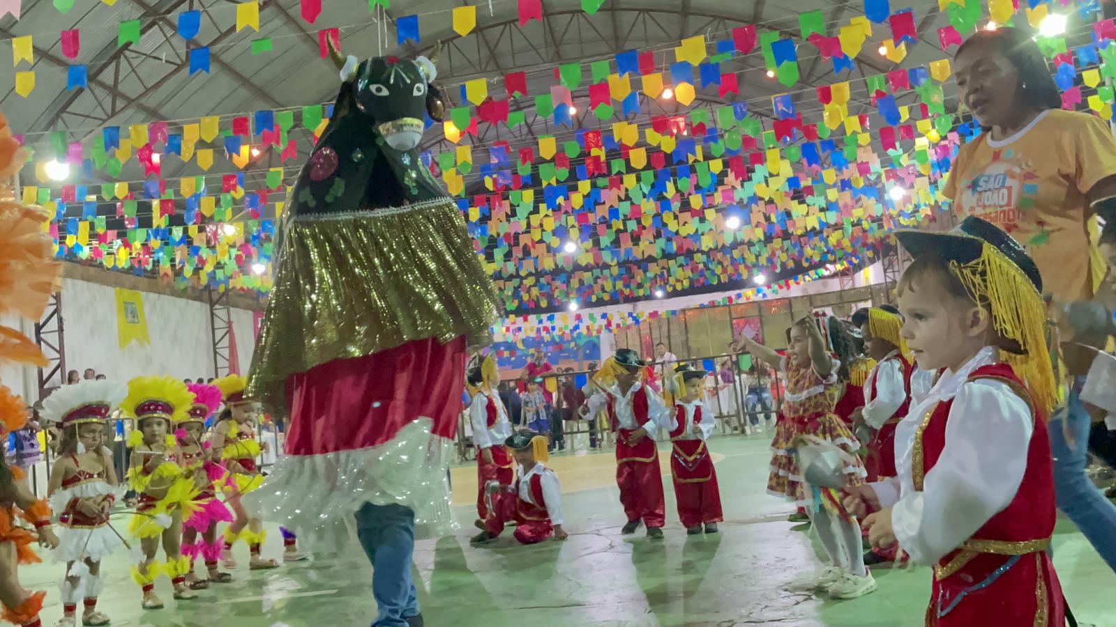 São João Ta é danado de bom!